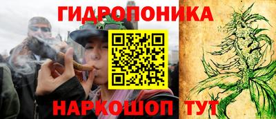 прущий лед Будённовск