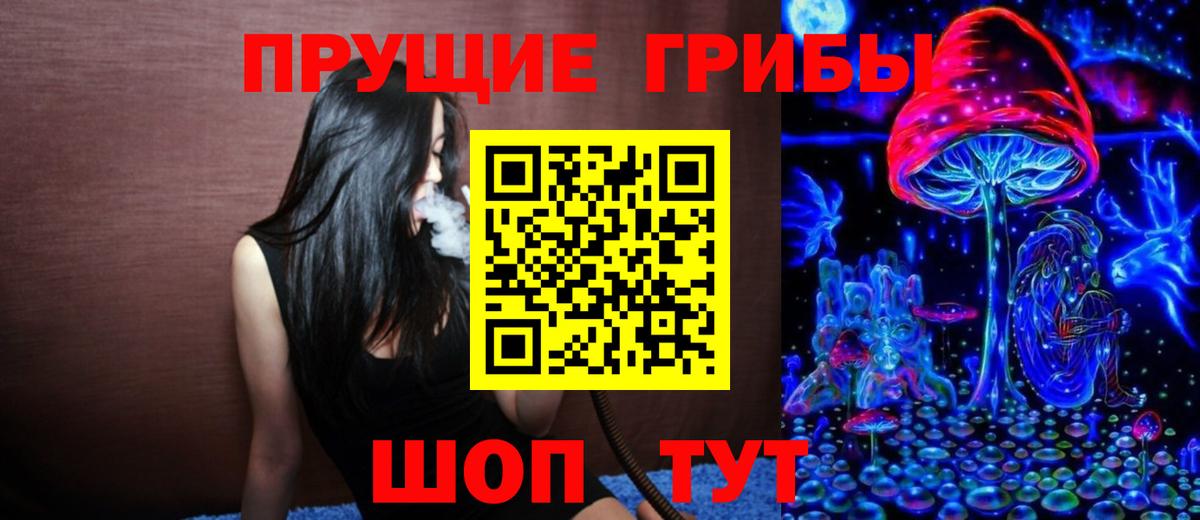 Галлюциногенные грибы Psilocybine cubensis Полевской