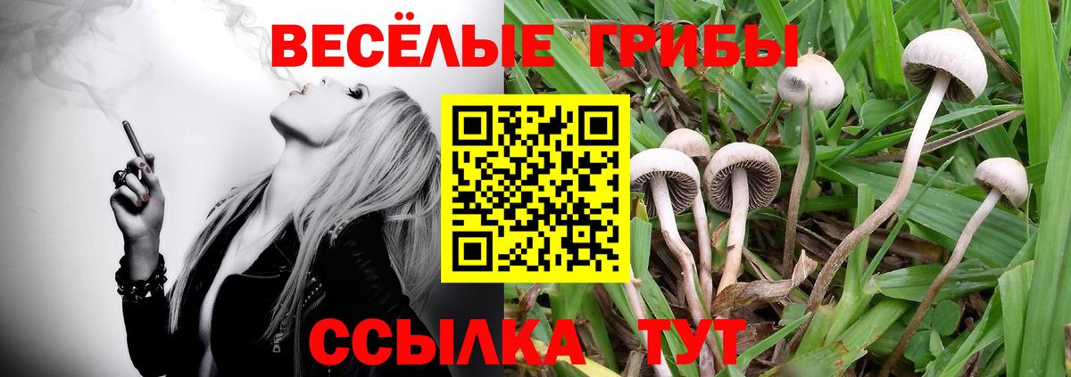 Галлюциногенные грибы мухоморы  Вход с VPN  Полевской 